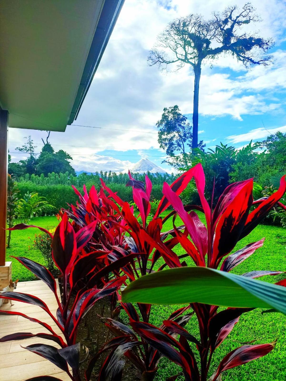 Villa Ceiba La Fortuna Exterior photo