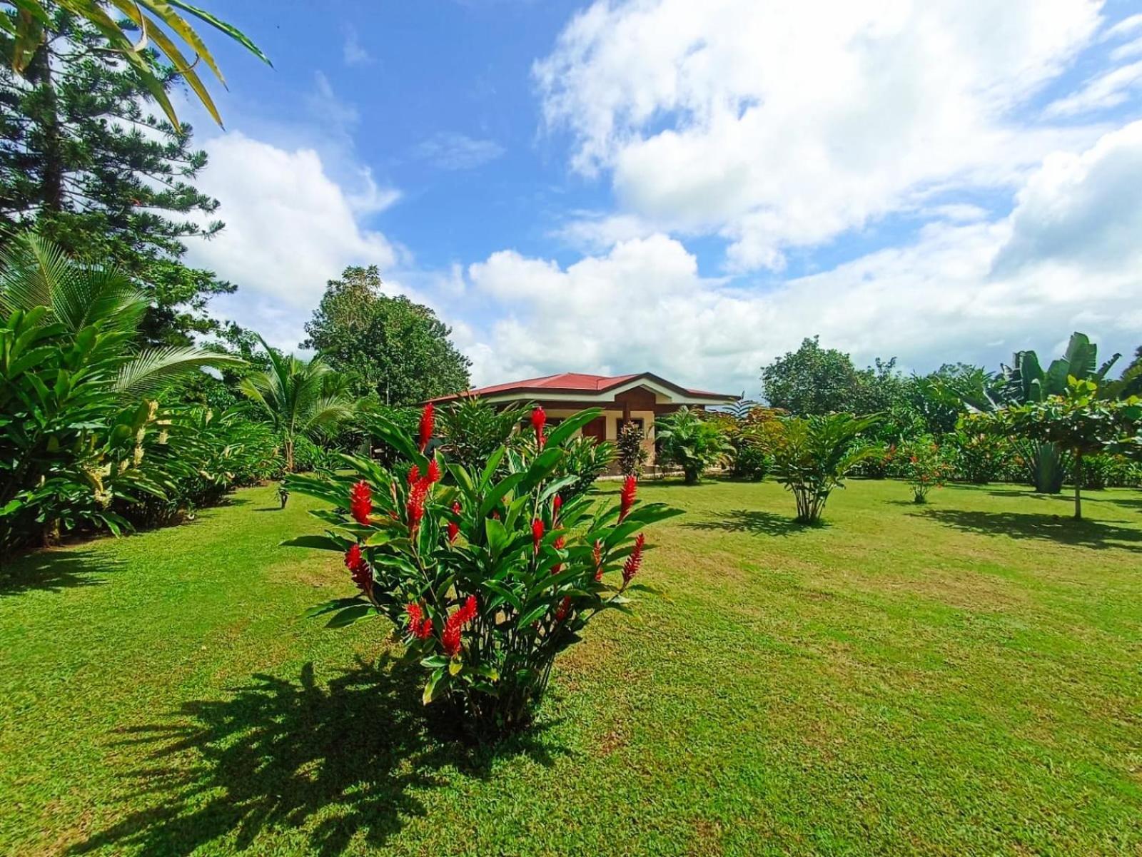 Villa Ceiba La Fortuna Exterior photo